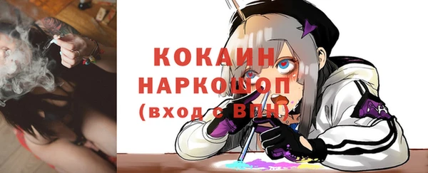 ПСИЛОЦИБИНОВЫЕ ГРИБЫ Новозыбков