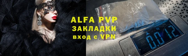 ПСИЛОЦИБИНОВЫЕ ГРИБЫ Новозыбков