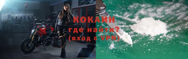 ПСИЛОЦИБИНОВЫЕ ГРИБЫ Новозыбков