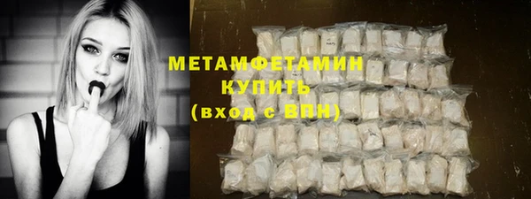 ПСИЛОЦИБИНОВЫЕ ГРИБЫ Новозыбков