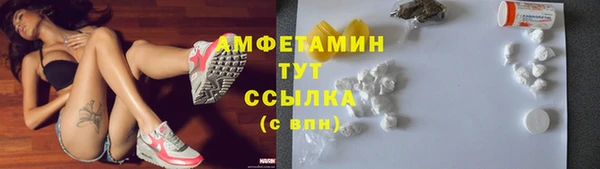 ПСИЛОЦИБИНОВЫЕ ГРИБЫ Новозыбков