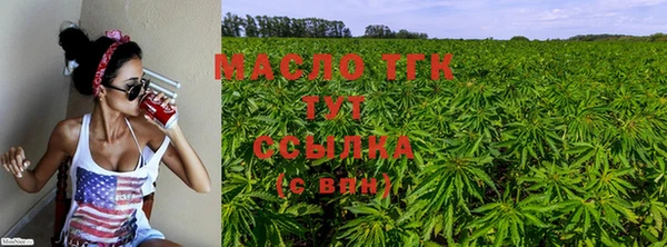 ПСИЛОЦИБИНОВЫЕ ГРИБЫ Новозыбков