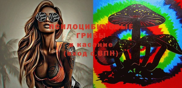 каннабис Новодвинск
