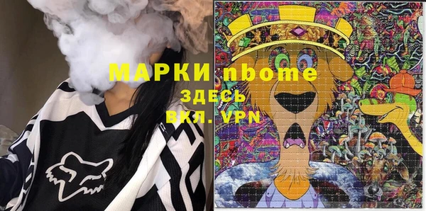 ПСИЛОЦИБИНОВЫЕ ГРИБЫ Новозыбков