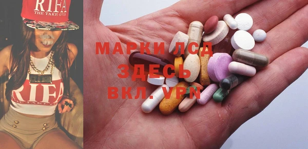 ПСИЛОЦИБИНОВЫЕ ГРИБЫ Новозыбков